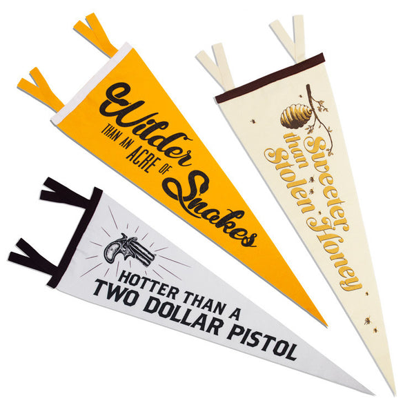 Texas Expressions Pennants
